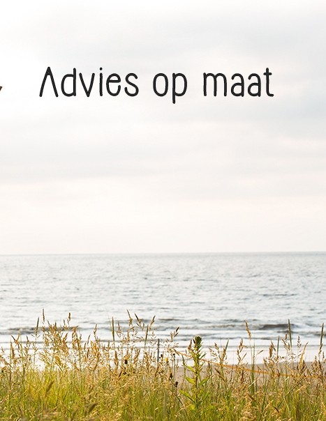 Advies op maat
